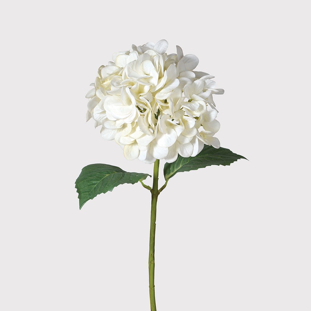 'Real Feel' White Hydrangea - Stems & Son